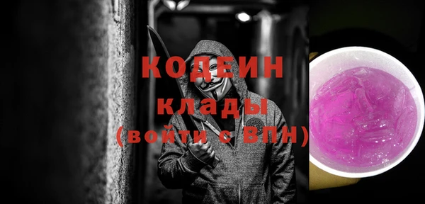 прущие грибы Гусев