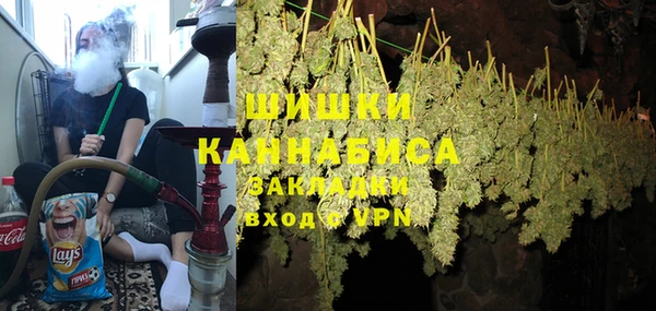 прущие грибы Гусев