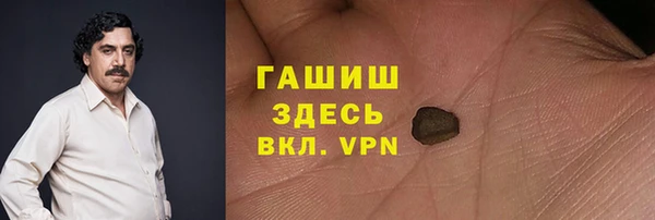 прущие грибы Гусев