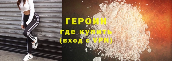 прущие грибы Гусев
