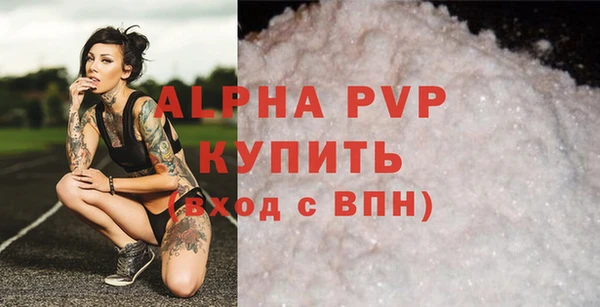 прущие грибы Гусев