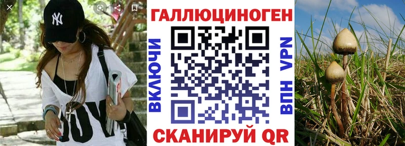 Псилоцибиновые грибы ЛСД  Меленки 